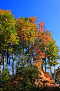 球员状态火爆，带领球队冲向胜利