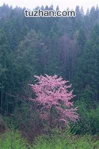 勇往直前，球队团结一致战胜强敌晋级！