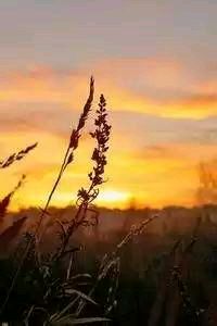 摩桑比克逼平毛里塔尼亚，小组晋级悬念难解