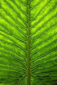 豪情万丈！中国女足对抗英格兰力争胜利